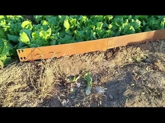 1SGS 000mm * 1,6mm * 100mm ocynkowana stal Corten Obrzeża Obrzeża trawnika Corten